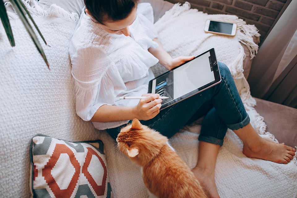 Woman working on a tablet computer on a couch with a cat